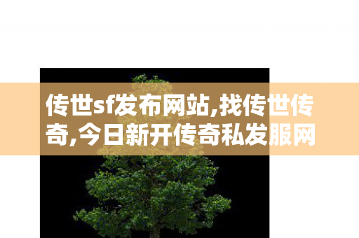 传世sf发布网站,找传世传奇,今日新开传奇私发服网,找传世传奇