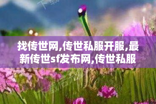 找传世网,传世私服开服,最新传世sf发布网,传世私服开服