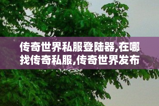 传奇世界私服登陆器,在哪找传奇私服,传奇世界发布网站,在哪找传奇私服