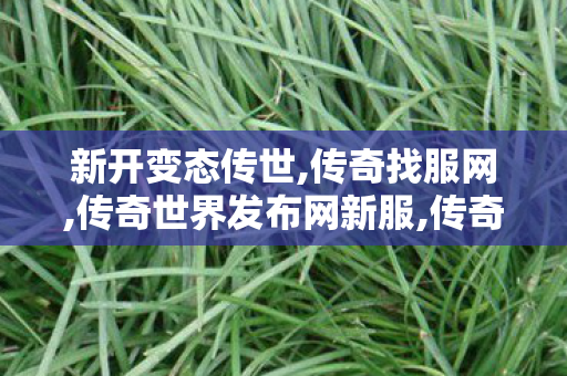 新开变态传世,传奇找服网,传奇世界发布网新服,传奇找服网