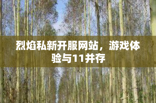烈焰私新开服网站，游戏体验与11并存