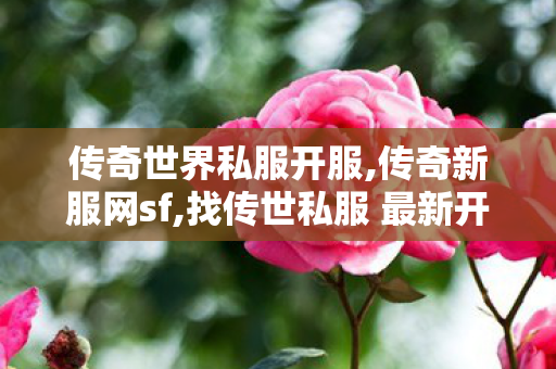 传奇世界私服开服,传奇新服网sf,找传世私服 最新开,传奇新服网sf