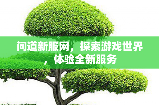 问道新服网，探索游戏世界，体验全新服务