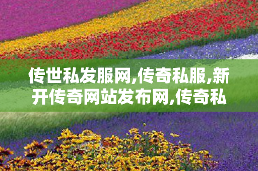 传世私发服网,传奇私服,新开传奇网站发布网,传奇私服