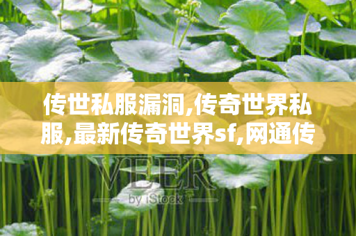 传世私服漏洞,传奇世界私服,最新传奇世界sf,网通传奇发布网,传奇世界私服,最新传奇世界sf