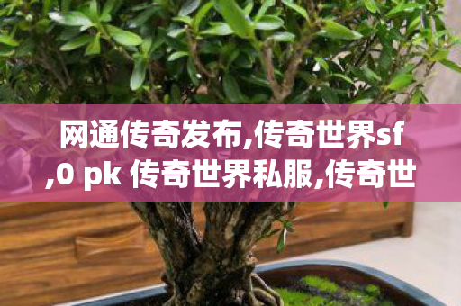 网通传奇发布,传奇世界sf,0 pk 传奇世界私服,传奇世界sf