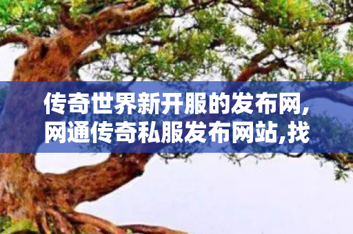 传奇世界新开服的发布网,网通传奇私服发布网站,找私服网站,网通传奇私服发布网站