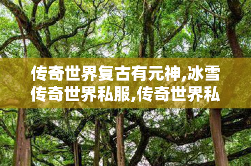 传奇世界复古有元神,冰雪传奇世界私服,传奇世界私服,新开私服,冰雪传奇世界私服