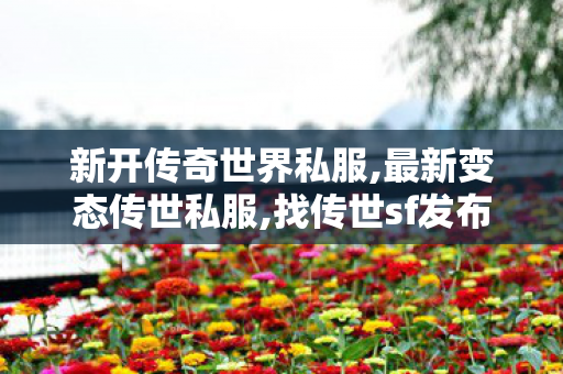 新开传奇世界私服,最新变态传世私服,找传世sf发布网新服,最新变态传世私服
