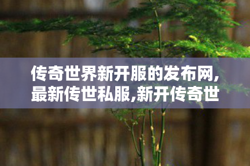 传奇世界新开服的发布网,最新传世私服,新开传奇世界网站刚开一秒,最新传世私服