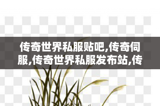 传奇世界私服贴吧,传奇伺服,传奇世界私服发布站,传奇伺服