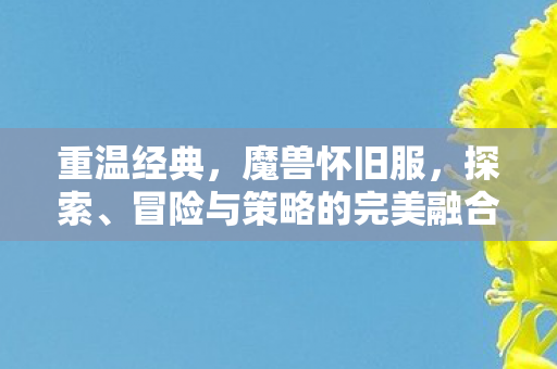 重温经典，魔兽怀旧服，探索、冒险与策略的完美融合