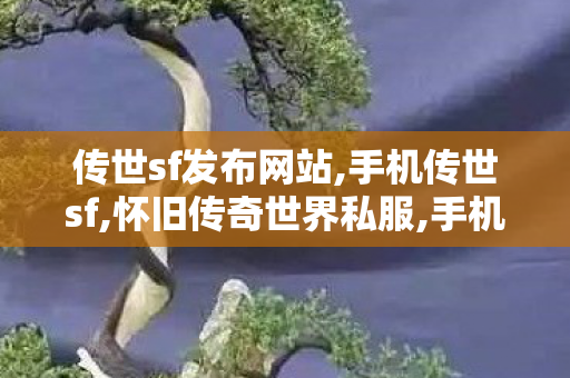 传世sf发布网站,手机传世sf,怀旧传奇世界私服,手机传世sf