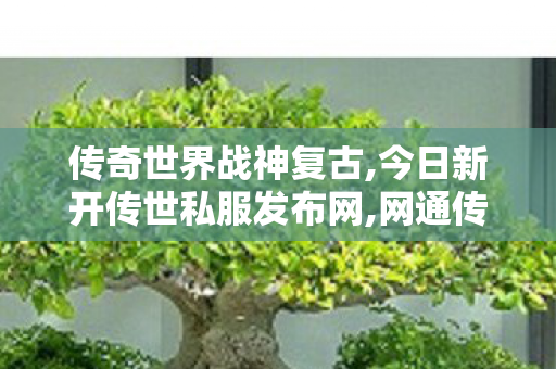 传奇世界战神复古,今日新开传世私服发布网,网通传奇,今日新开传世私服发布网
