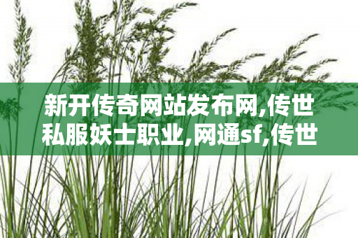 新开传奇网站发布网,传世私服妖士职业,网通sf,传世私服妖士职业