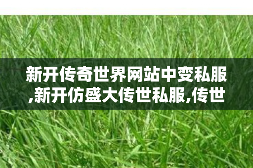新开传奇世界网站中变私服,新开仿盛大传世私服,传世,新开仿盛大传世私服