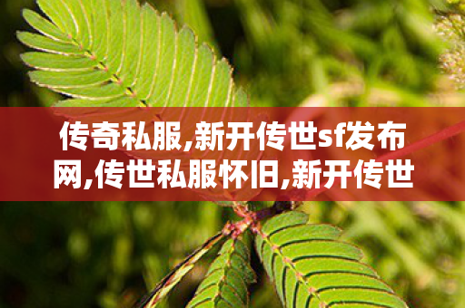 传奇私服,新开传世sf发布网,传世私服怀旧,新开传世sf发布网