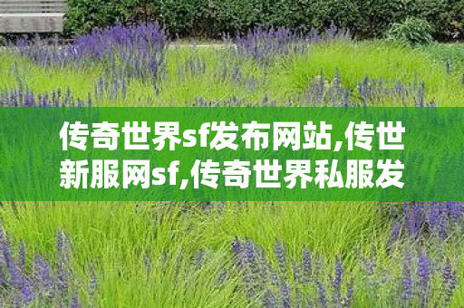 传奇世界sf发布网站,传世新服网sf,传奇世界私服发布网站,传世新服网sf