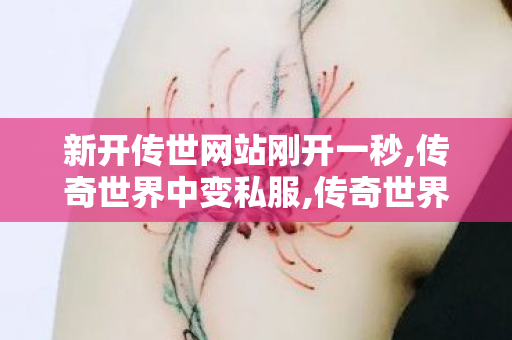 新开传世网站刚开一秒,传奇世界中变私服,传奇世界sf新开服,传奇世界中变私服