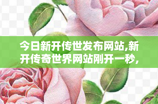 今日新开传世发布网站,新开传奇世界网站刚开一秒,传奇世界伺服,新开传奇世界网站刚开一秒