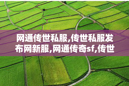网通传世私服,传世私服发布网新服,网通传奇sf,传世私服发布网新服