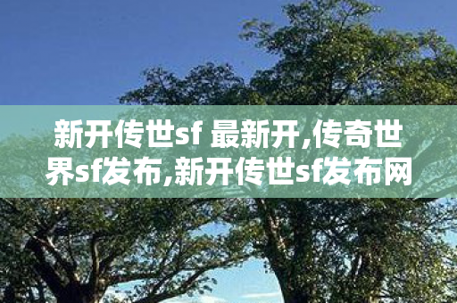 新开传世sf 最新开,传奇世界sf发布,新开传世sf发布网站,传奇世界sf发布