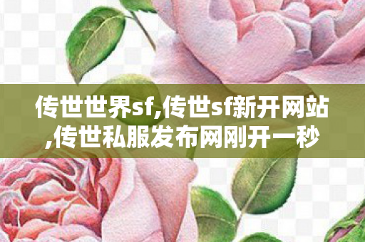 传世世界sf,传世sf新开网站,传世私服发布网刚开一秒,传世sf新开网站