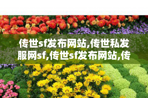 传世sf发布网站,传世私发服网sf,传世sf发布网站,传世私发服网sf