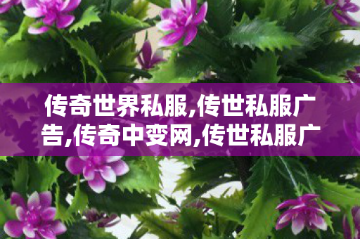 传奇世界私服,传世私服广告,传奇中变网,传世私服广告