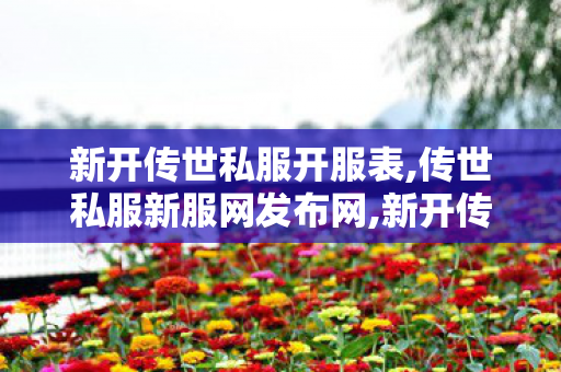 新开传世私服开服表,传世私服新服网发布网,新开传奇微变网站,传世私服新服网发布网