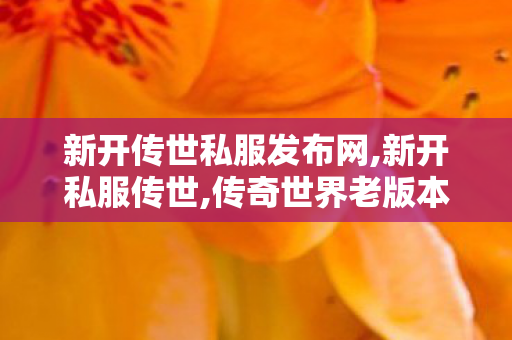 新开传世私服发布网,新开私服传世,传奇世界老版本,新开私服传世