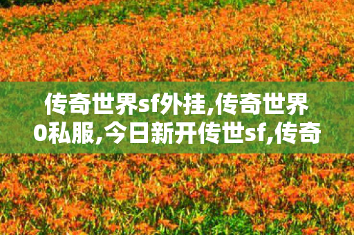 传奇世界sf外挂,传奇世界0私服,今日新开传世sf,传奇世界0私服