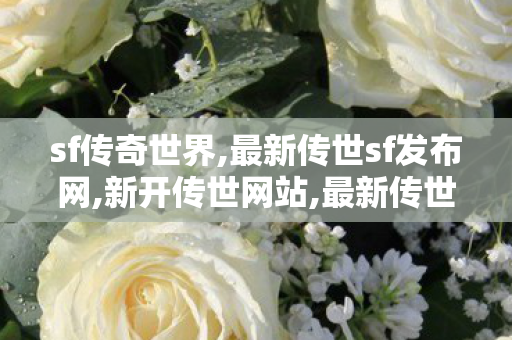 sf传奇世界,最新传世sf发布网,新开传世网站,最新传世sf发布网