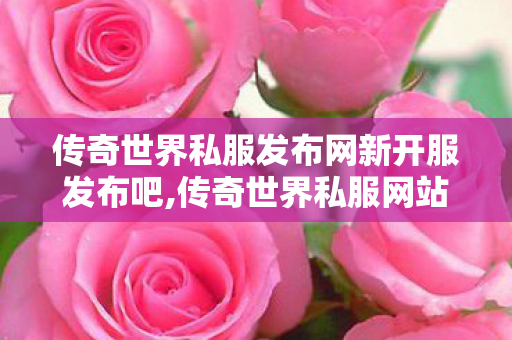 传奇世界私服发布网新开服发布吧,传奇世界私服网站新开网,找传世网,传奇世界私服网站新开网
