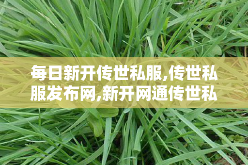 每日新开传世私服,传世私服发布网,新开网通传世私服,传世私服发布网