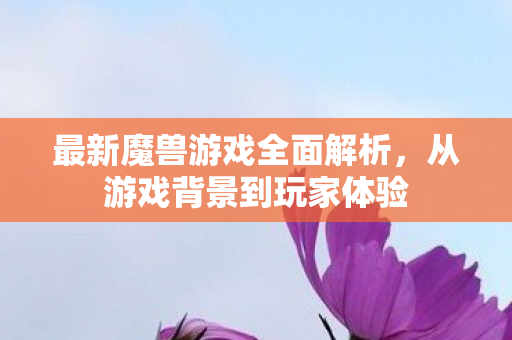 最新魔兽游戏全面解析，从游戏背景到玩家体验