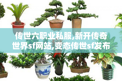 传世六职业私服,新开传奇世界sf网站,变态传世sf发布网新服,新开传奇世界sf网站
