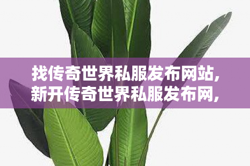 找传奇世界私服发布网站,新开传奇世界私服发布网,传世私发服,新开传奇世界私服发布网
