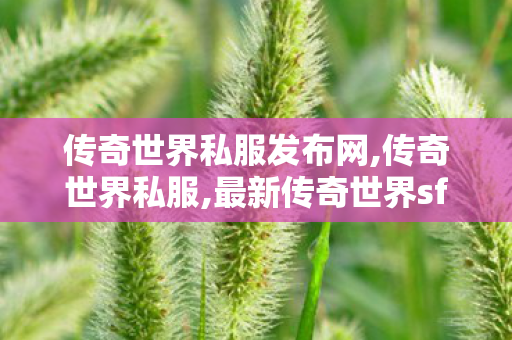 传奇世界私服发布网,传奇世界私服,最新传奇世界sf,传世sf发布网站,传奇世界私服,最新传奇世界sf