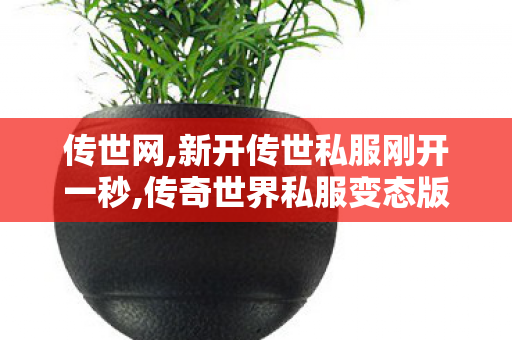 传世网,新开传世私服刚开一秒,传奇世界私服变态版,新开传世私服刚开一秒