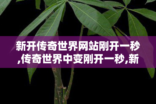新开传奇世界网站刚开一秒,传奇世界中变刚开一秒,新开传世私服,传奇世界中变刚开一秒