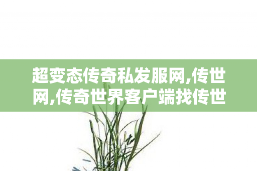 超变态传奇私发服网,传世网,传奇世界客户端	找传世sf,传世网