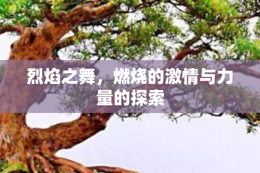 烈焰之舞，燃烧的激情与力量的探索