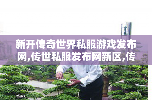 新开传奇世界私服游戏发布网,传世私服发布网新区,传世sf新开区,传世私服发布网新区