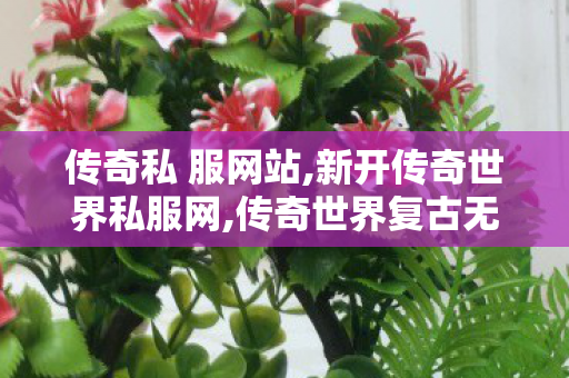 传奇私 服网站,新开传奇世界私服网,传奇世界复古无元神,新开传奇世界私服网