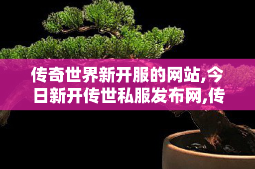 传奇世界新开服的网站,今日新开传世私服发布网,传世sf发布网,今日新开传世私服发布网