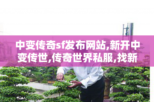 中变传奇sf发布网站,新开中变传世,传奇世界私服,找新开传世私服,新开中变传世