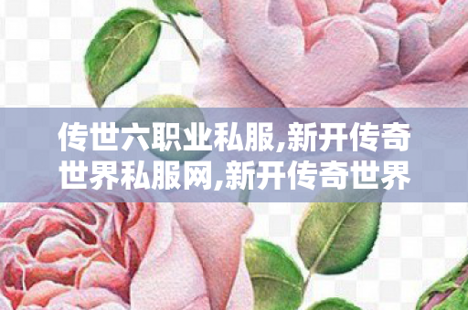 传世六职业私服,新开传奇世界私服网,新开传奇世界,新开传奇世界私服网