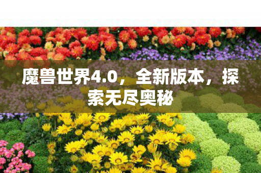 魔兽世界4.0，全新版本，探索无尽奥秘
