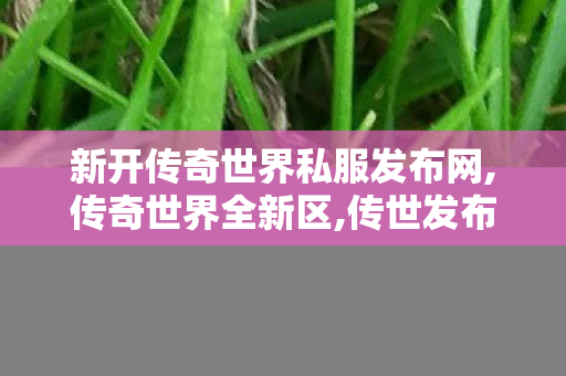 新开传奇世界私服发布网,传奇世界全新区,传世发布网,传奇世界全新区
